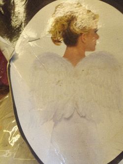 Feather wings