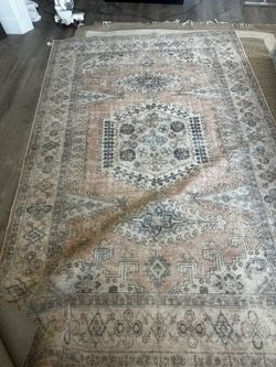 10x7 Rug