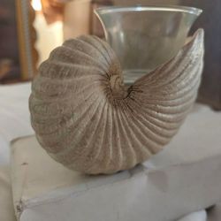 Signature Styles Candle Holder Shell