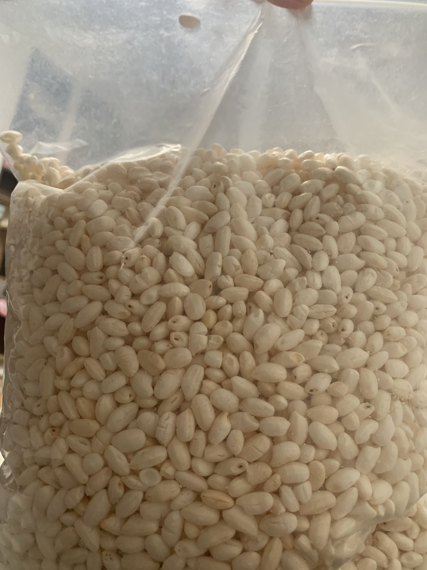 popcorn