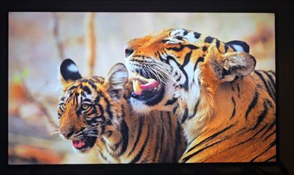 LG 42" 4K UHD smart TV w/ 60 htz & HDR10