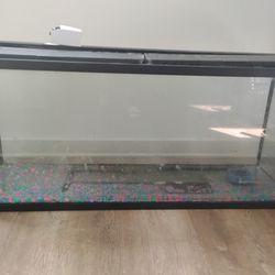 55 Gallon Fish Tank