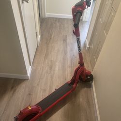 Large Eclectic Foldable  Adult Scooter 