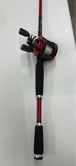 Swimbait/ inshore fishing combo