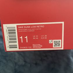Size 11  Nike Dunks 