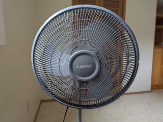 Oscillating fan