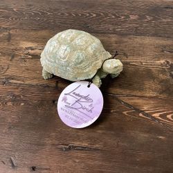Resin Turtle, Distressed Verdigris Finish