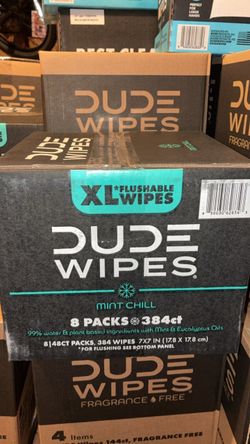 Dude Wipes 8Pk case Mint