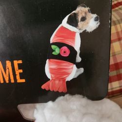 Sushi Pet Costume New