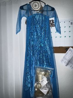 Elsa Costume Dress With Wig 