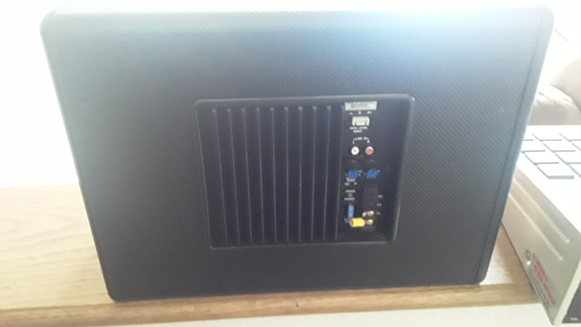 300 Watt Dual SubWoofer