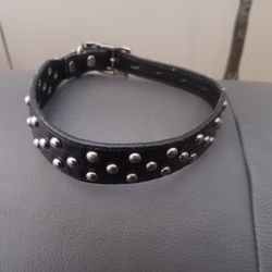 Studded Dog Collar