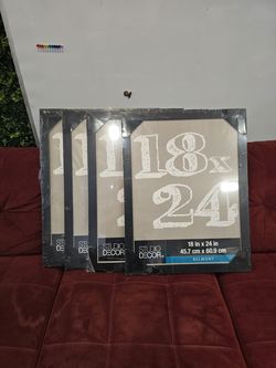 Studio Decor Belmont 18x24 Picture Frames - Set of 4. $6 for (1) $10 for (2)