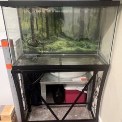29 Gallon Acrylic Aquarium and Stand