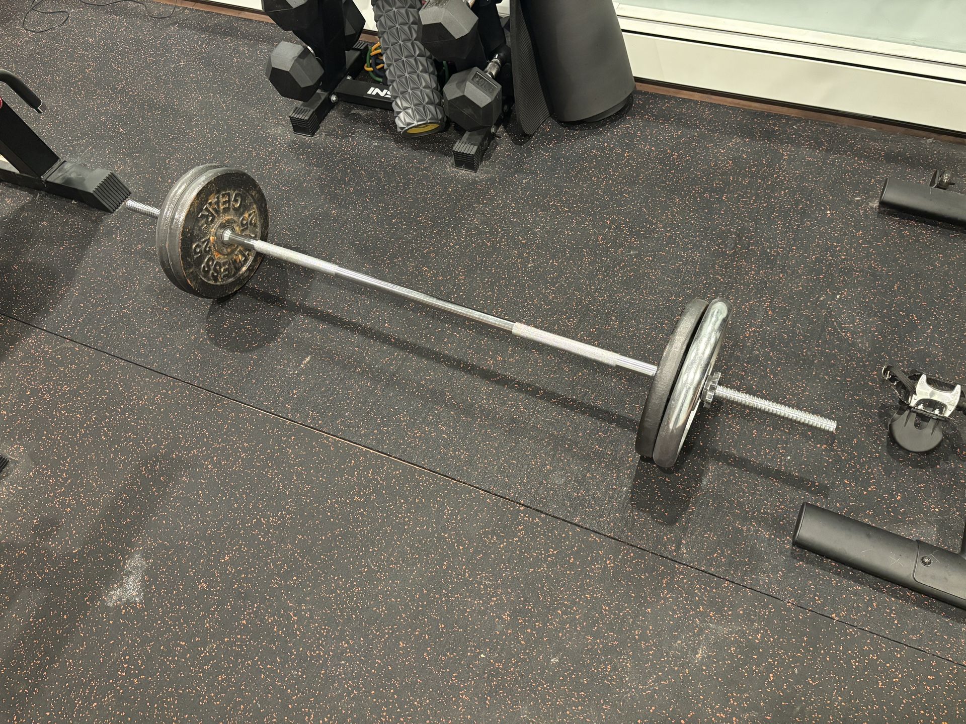 Curl Bar - Weights Included