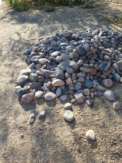 FREE RIVER ROCKS LG & M