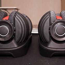 Adjustable Dumbbells 52.5 Lb 
