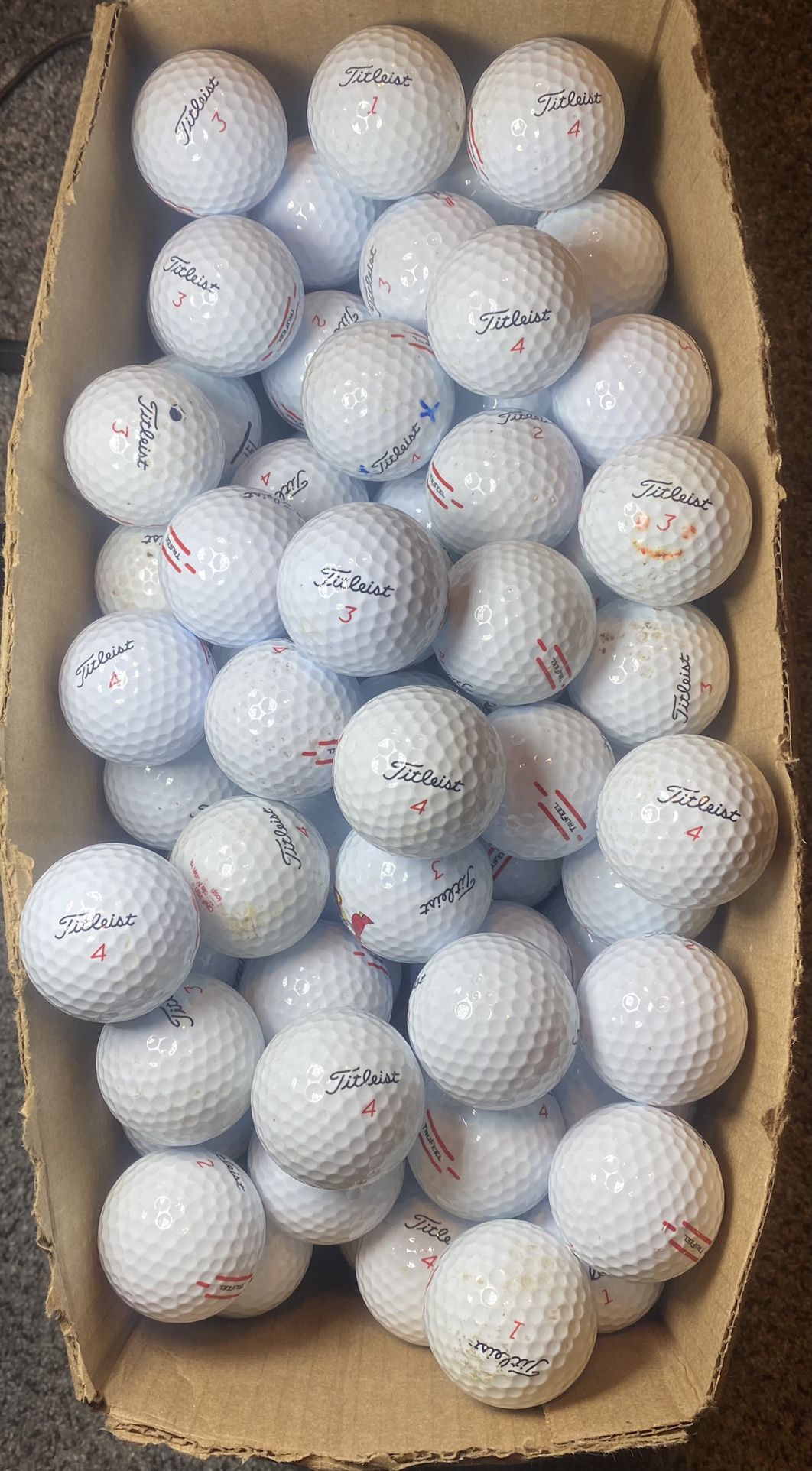3 Dozen Tru Feel