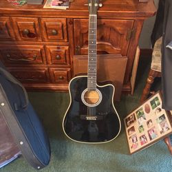 Esteban Guitar ALC-200