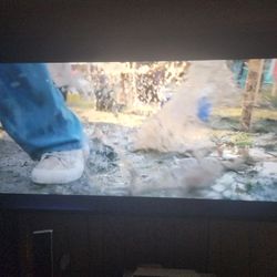 70 Inch LG Tv