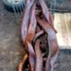 Old Growth Cedar Chair Hand Made 