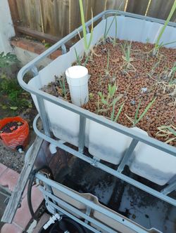 Aquaponic system with sump and pump