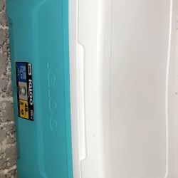 Igloo Cooler