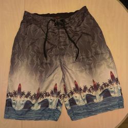 Gecko Hawaii Swim Trunks, size M