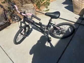 Big girls bike