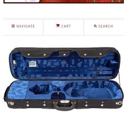 Beautiful Violin Case