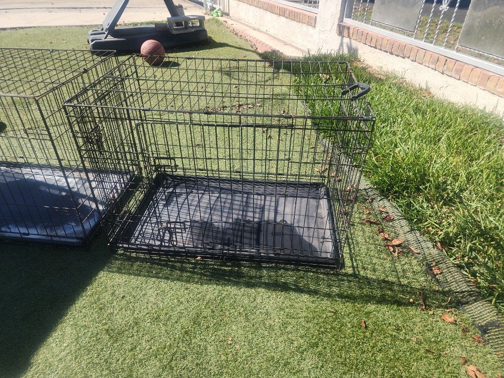 Dog Cages