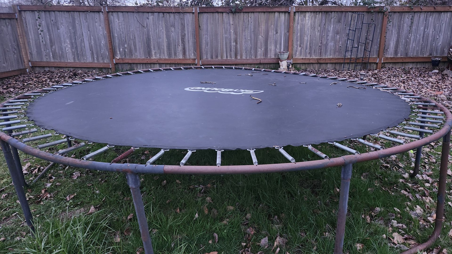 Free 14' trampoline