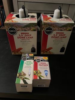 Reptile dome lights