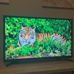Samsung 32 inch HD Smart TV (Netflix, HULU, etc.)