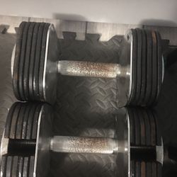 Iron masters Dumbells