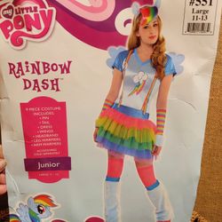 Junior Size Costume