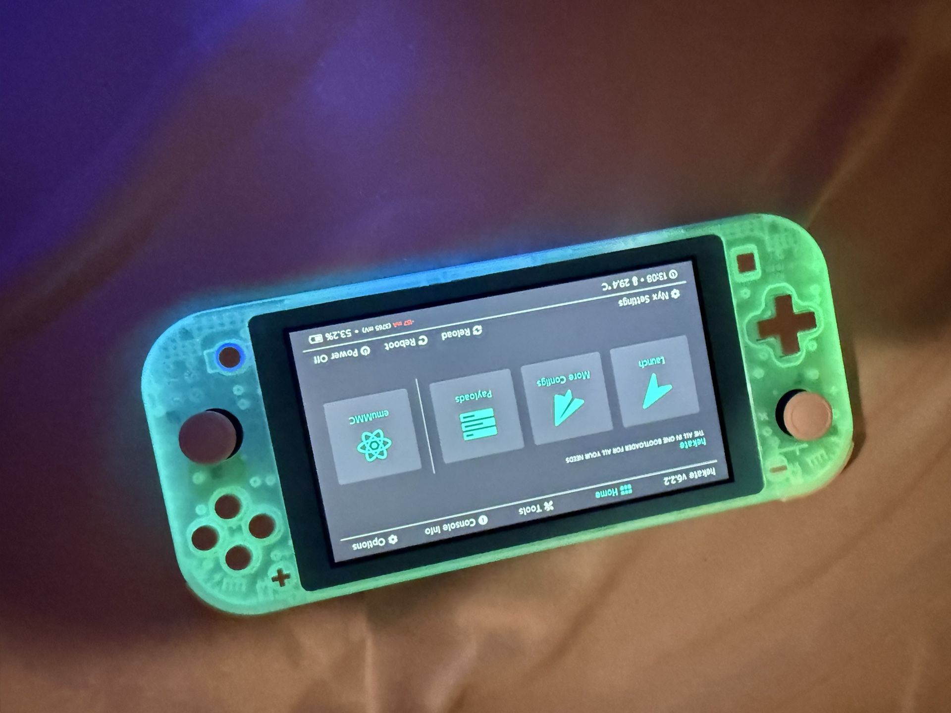 Nintendo Switch Lite (Custom/ Modded)