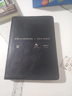 Bible in Portuguese & English NIV