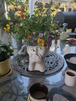 Polyresin Planter Hand Painted Comes With Live Flower Pot