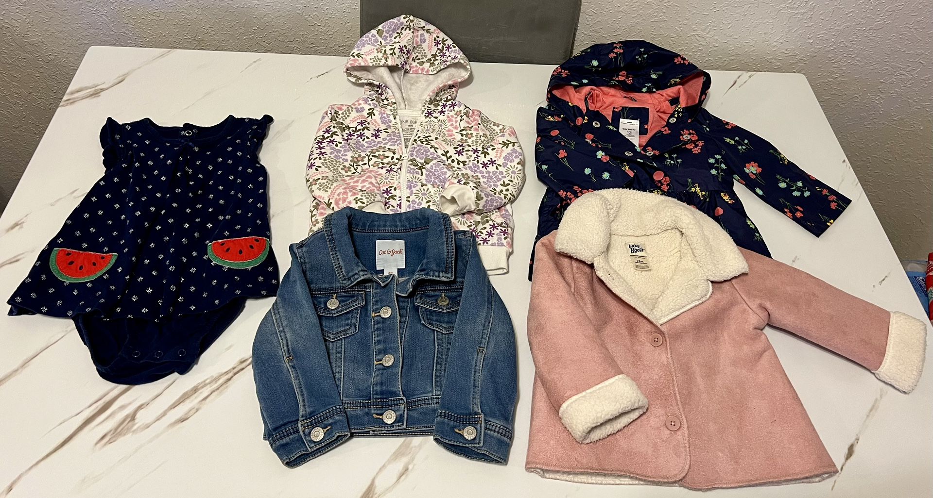 Baby Girl Clothing Bundle Size 12months 