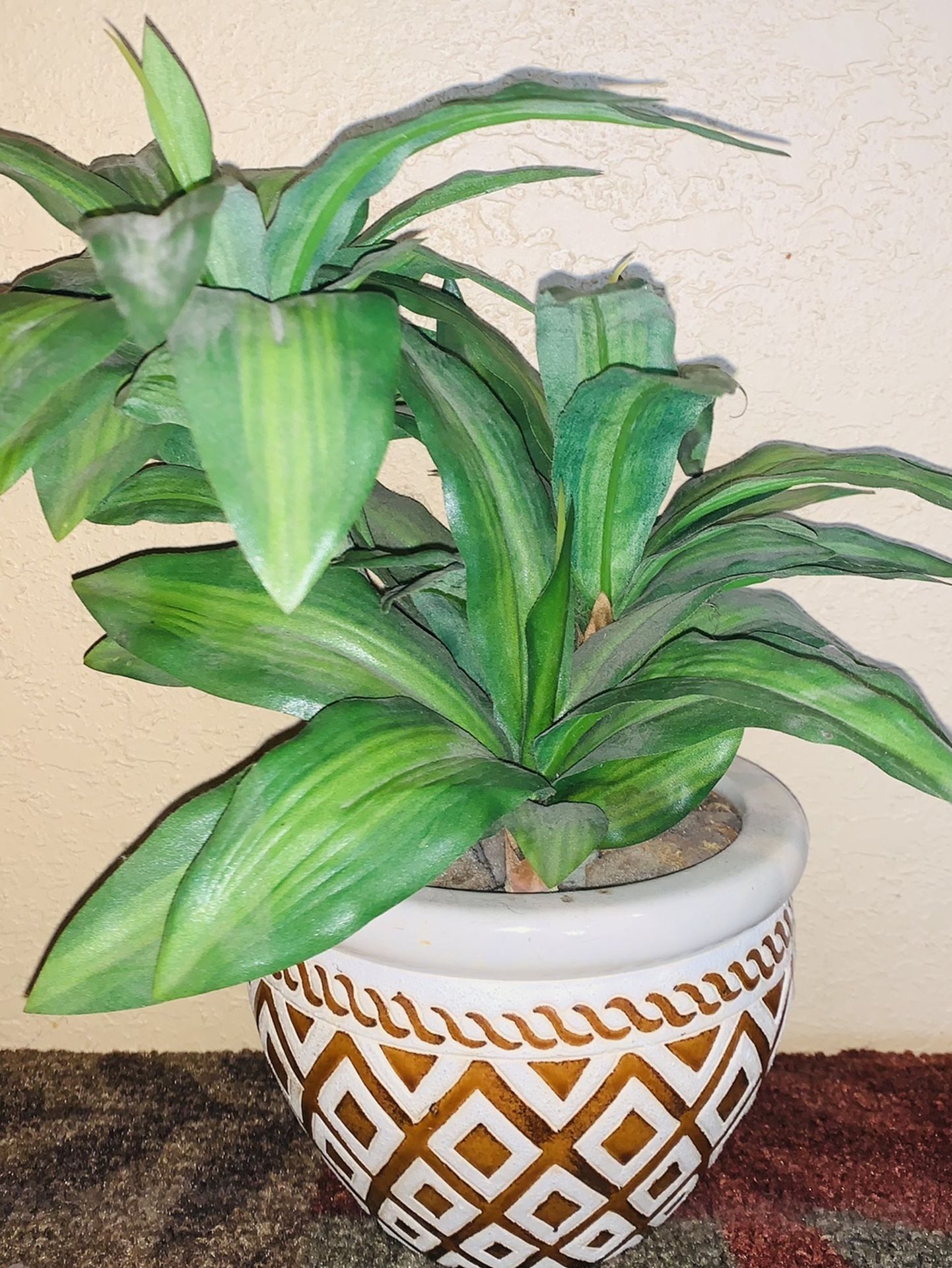 small plant with glass pot