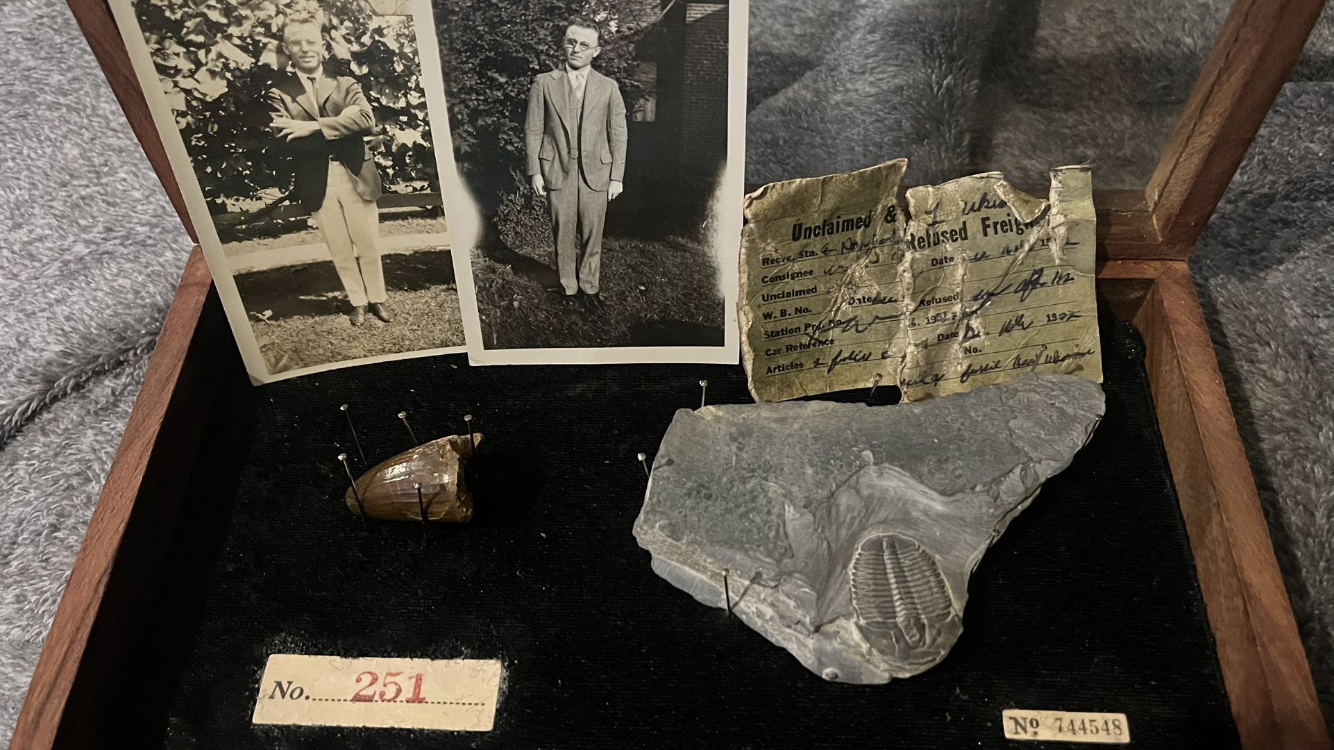 Antique Fossil Display Case Box Set Of 2 With Pics Locker Find