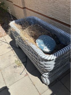 Two beautiful large concrete planters