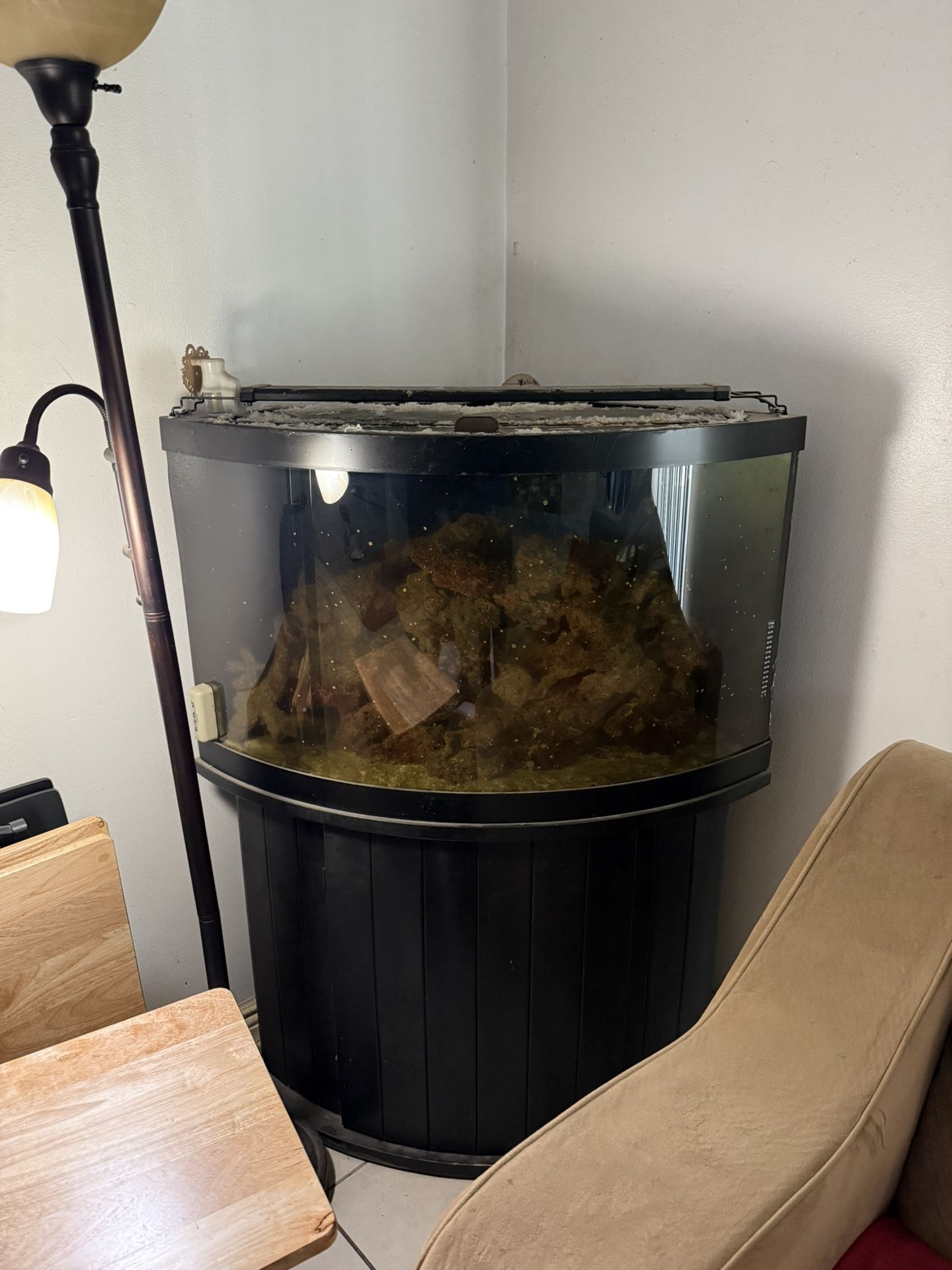 Fish Tank With Full Salt Water System