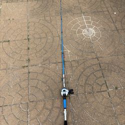 Zebco Fishing Rod & Pole