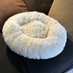 Pet Bed 