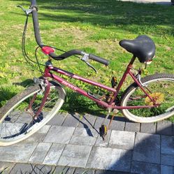 Girl's 5 Speed bike