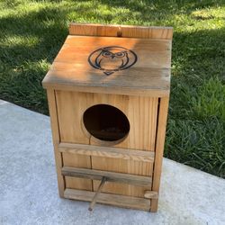 Beautiful Owl Box! 