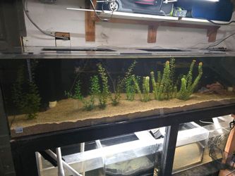 200 gal Clear For Life Acrylic Aquarium w/115 gal Sump Tank NO OFFERS