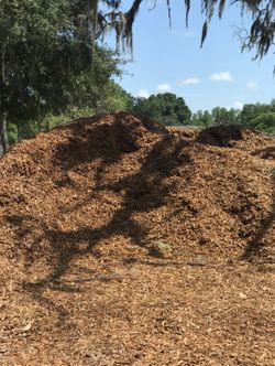 Free Clean Mulch Delivered -P Harbor ,Dunedin , Clrw Only